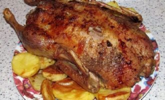 Canard aux pommes au four