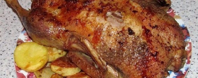 Canard aux pommes au four