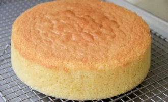 Bolo de esponja exuberante no forno clássico para bolo