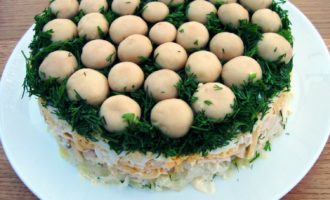 Salada de clareira de cogumelo (floresta) com champignon